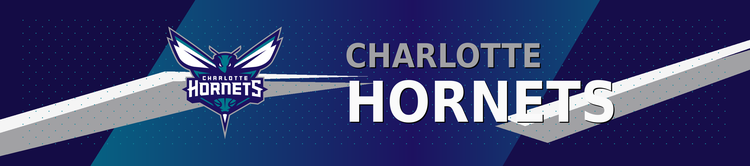 Charlotte Hornets banner