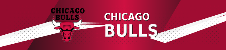 Chicago Bulls banner