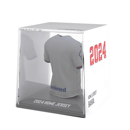 EC Bahia 2024 - Splink