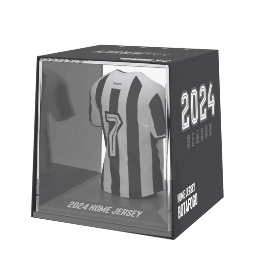 Botafogo 2024 - Splink