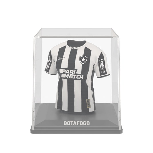 Botafogo 2024 - Splink