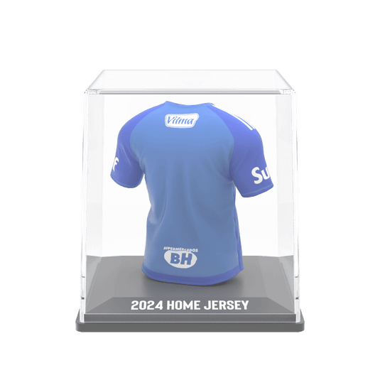 Cruzeiro EC 2024 - Splink