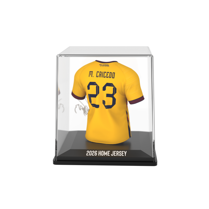Load image into Gallery viewer, Moisés Caicedo - Home - FEF - 2026
