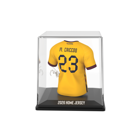 Moisés Caicedo - Home - FEF - 2026