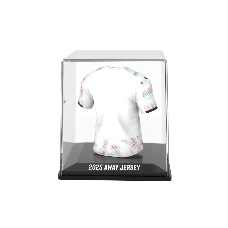 将图像加载到画廊查看器中，FPF - Away - 2025
