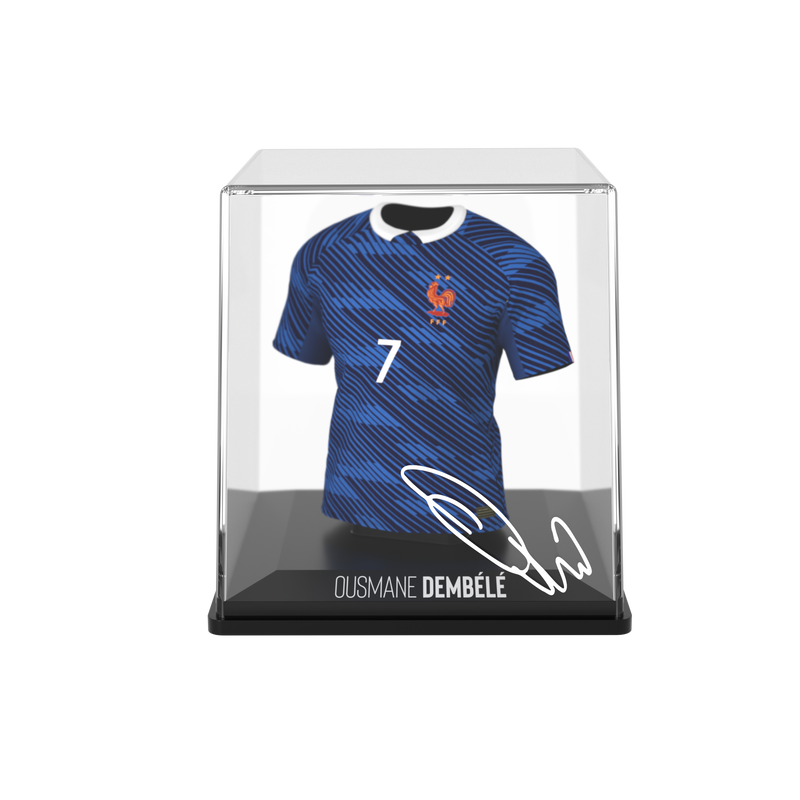 将图像加载到画廊查看器中，Dembele - Home - FFF - 2026
