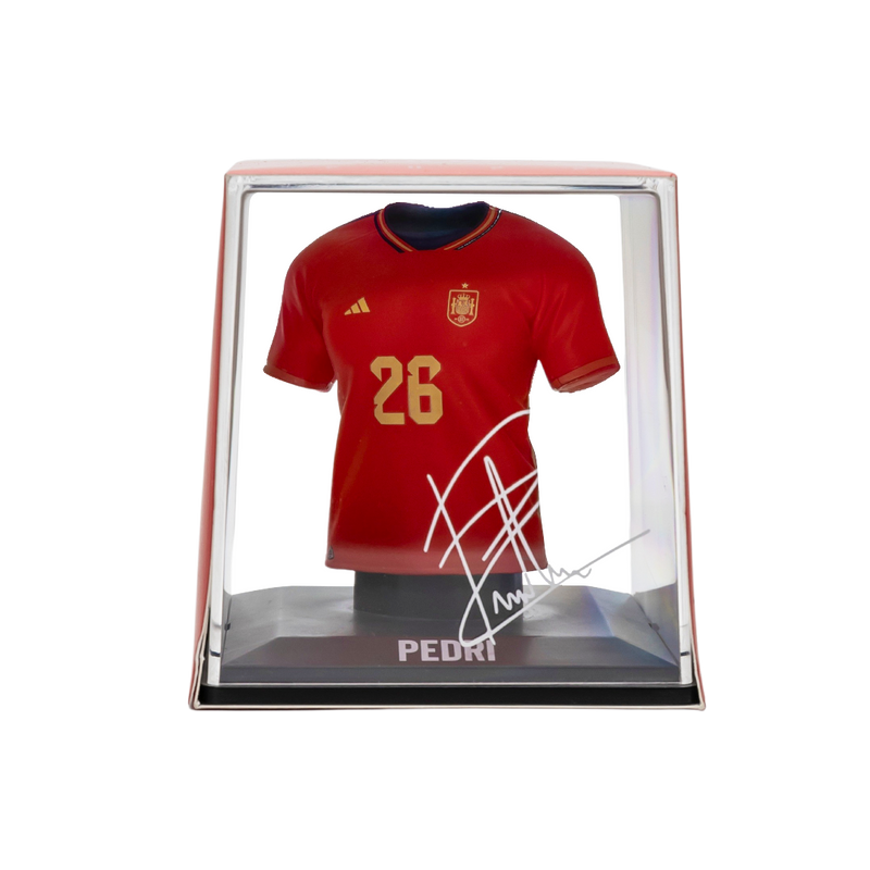 Load image into Gallery viewer, Pedri - Splink
