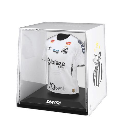 Santos FC 2024 - Splink