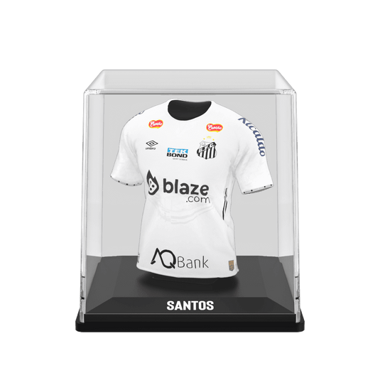 Santos FC 2024 - Splink