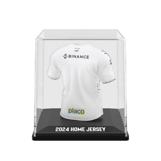 Santos FC 2024 - Splink