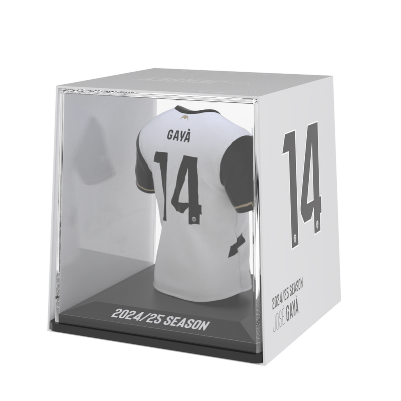 Laden Sie das Bild in Galerie -Viewer, José Gayá - Splink
