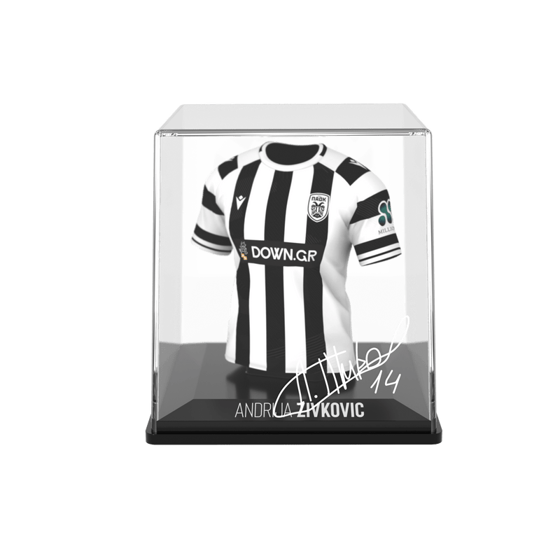 Laden Sie das Bild in Galerie -Viewer, Andrija Zivkovic - Home - Paok - 2025/26 - FanCollex
