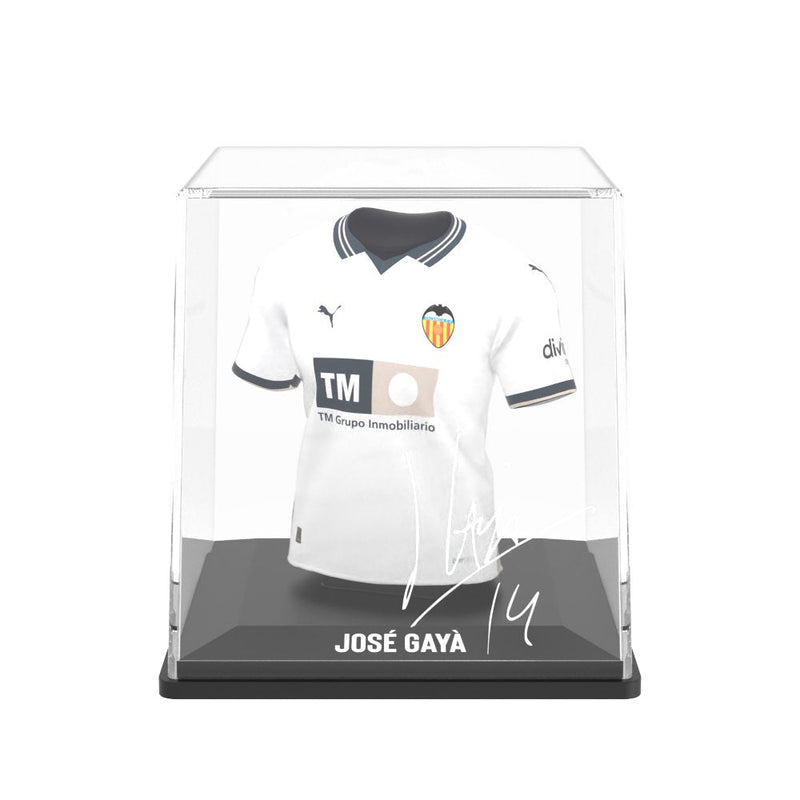 Laden Sie das Bild in Galerie -Viewer, José Gayà - Splink
