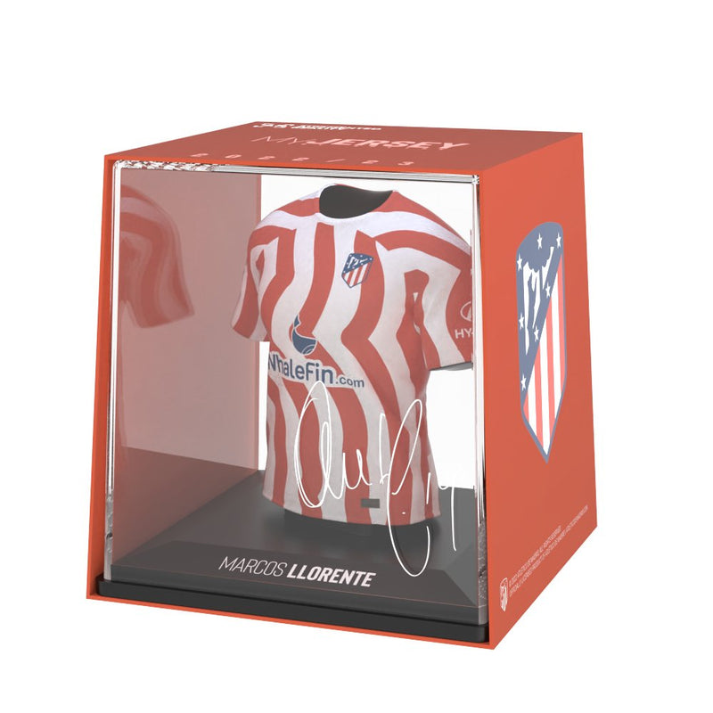 Laden Sie das Bild in Galerie -Viewer, M. Llorente - Splink
