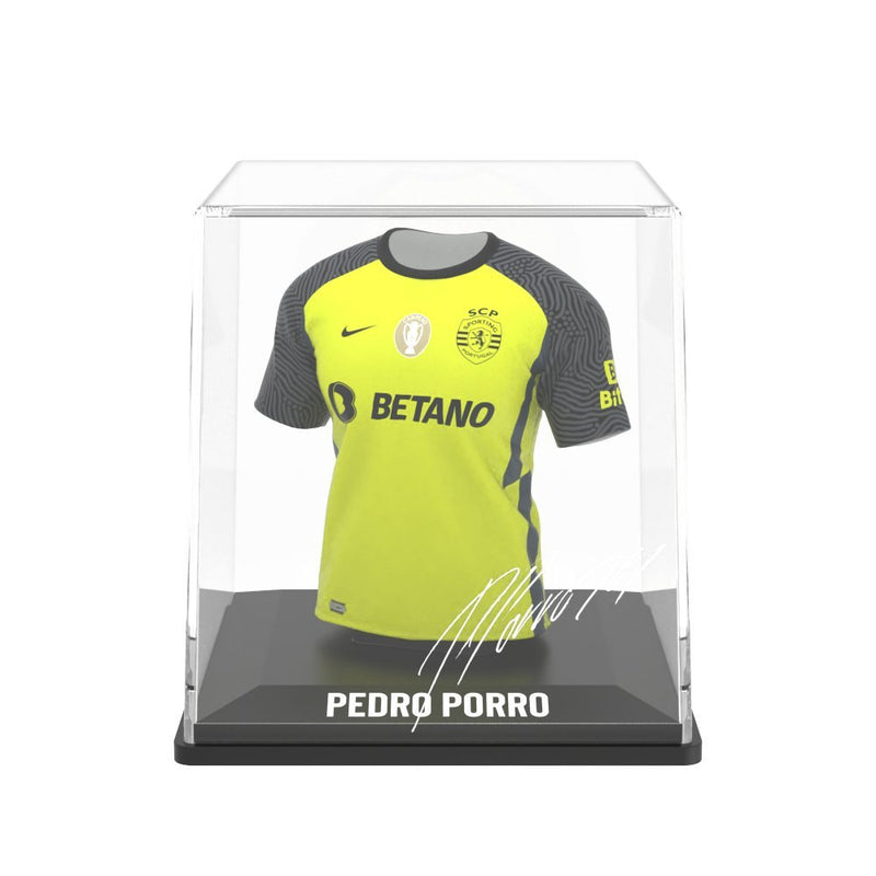 将图像加载到画廊查看器中，Pedro Porro - FanCollex
